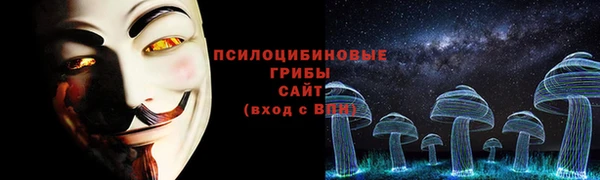 твердый Белокуриха