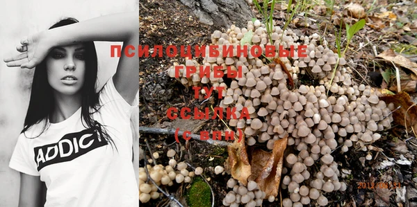 гидропоника Беломорск