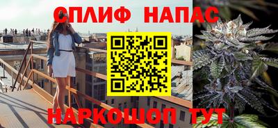 стаф Тверь