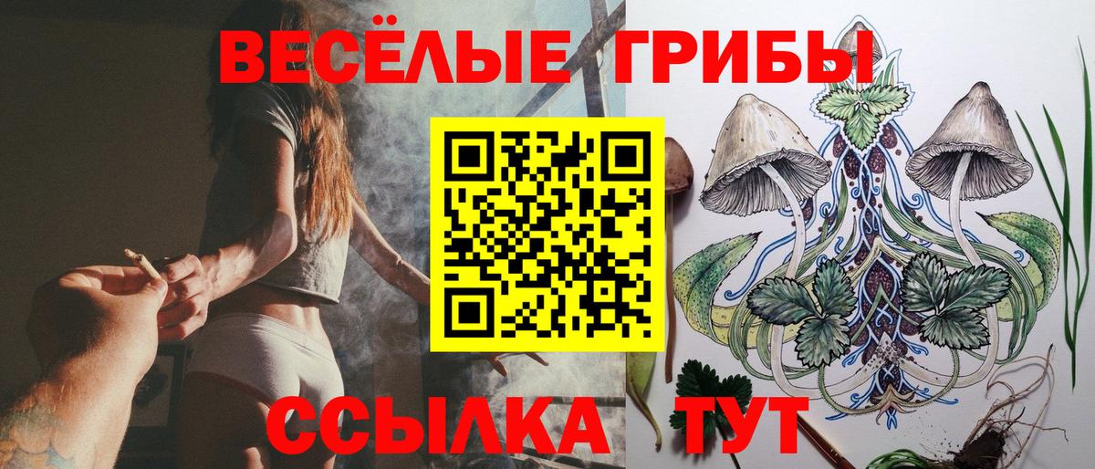 Маркс  Псилоцибиновые грибы Psilocybe  Вход с VPN 
