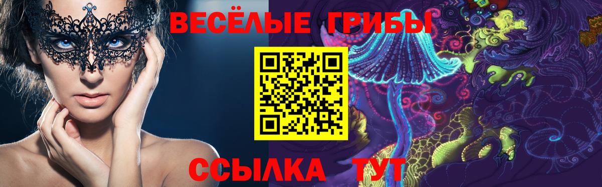 Псилоцибиновые грибы Psilocybine cubensis Маркс